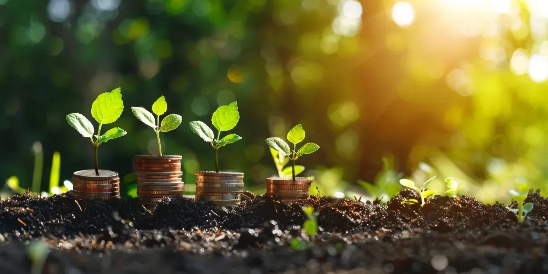 Monedas apiladas con planta creciendo, simbolizando crecimiento financiero sostenible